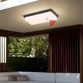 IP65 Rectangular Motion Sensor Aluminium PC Outdoor Ceiling Light for Entryway