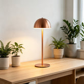 Light Luxury Acrylic Dimmable Touch Table Lamp for Cafe Bedside