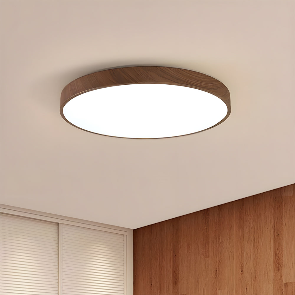 Modern Ceiling Lamp Living Room Led Lighting