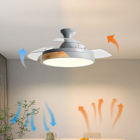 Acrylic Simple LED Remote Control Ceiling Fan With Light
