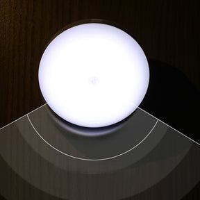 Contemporary Motion Sensor Light