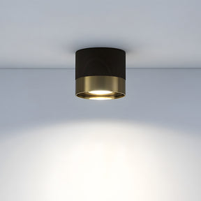 Small Led ceiling light for Hallway, D10cm