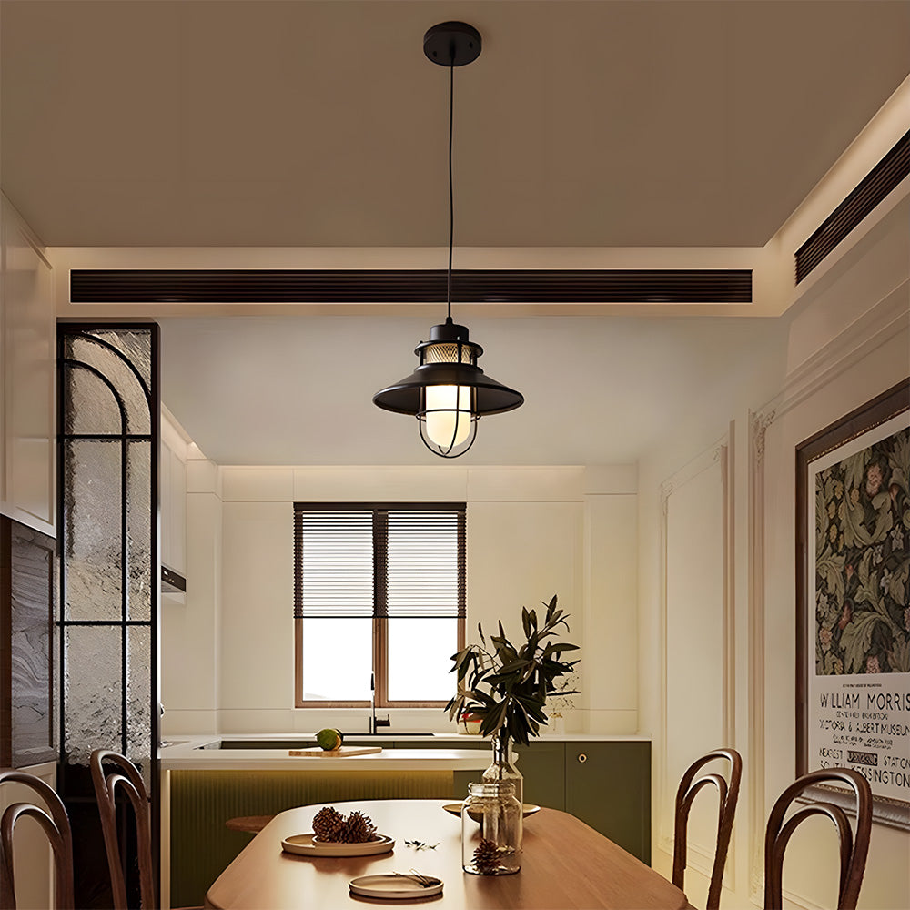 IP65 Waterproof Black Metal Cage Light Outdoor Pendant Lighting