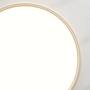 Modern Minimalism Acrylic LED Ceiling Lights for Bedroom