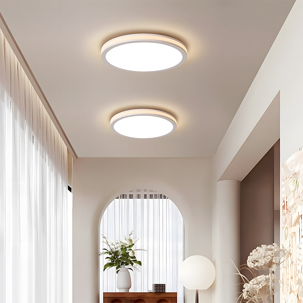 Two ceiling lights in a modern interior setting with decor elements.