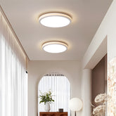 Two ceiling lights in a modern interior setting with decor elements.