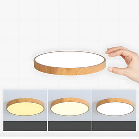 Modern Contemporary LED Lumianaire Wood Ceiling Light for Hallway Living Room