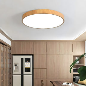 Modern Contemporary LED Lumianaire Wood Ceiling Light for Hallway Living Room