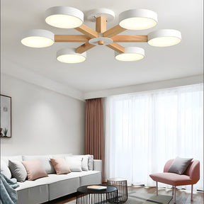 Nordic Multi Round LED Living Room Ceiling Lights