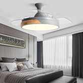 Acrylic Simple LED Remote Control Ceiling Fan With Light