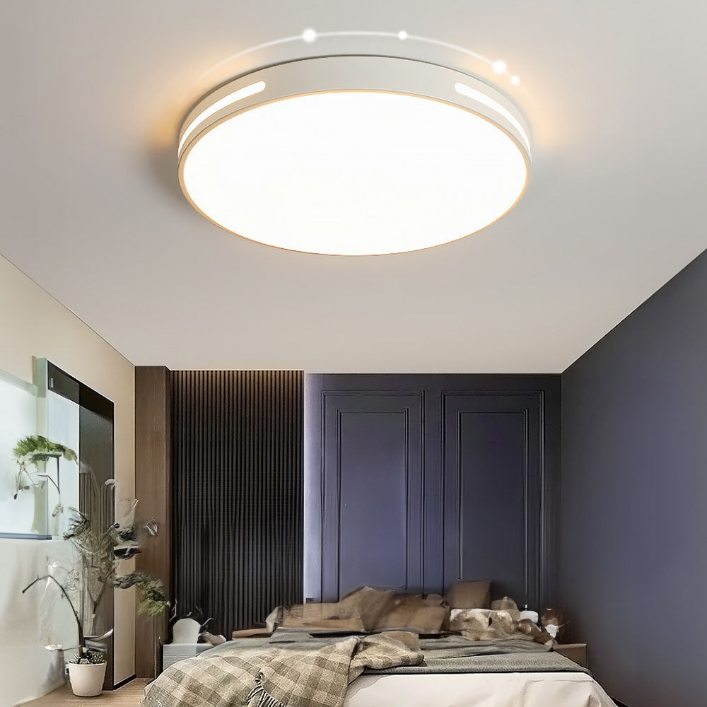 Iron Modern LED Ceiling Lights For Bedroom