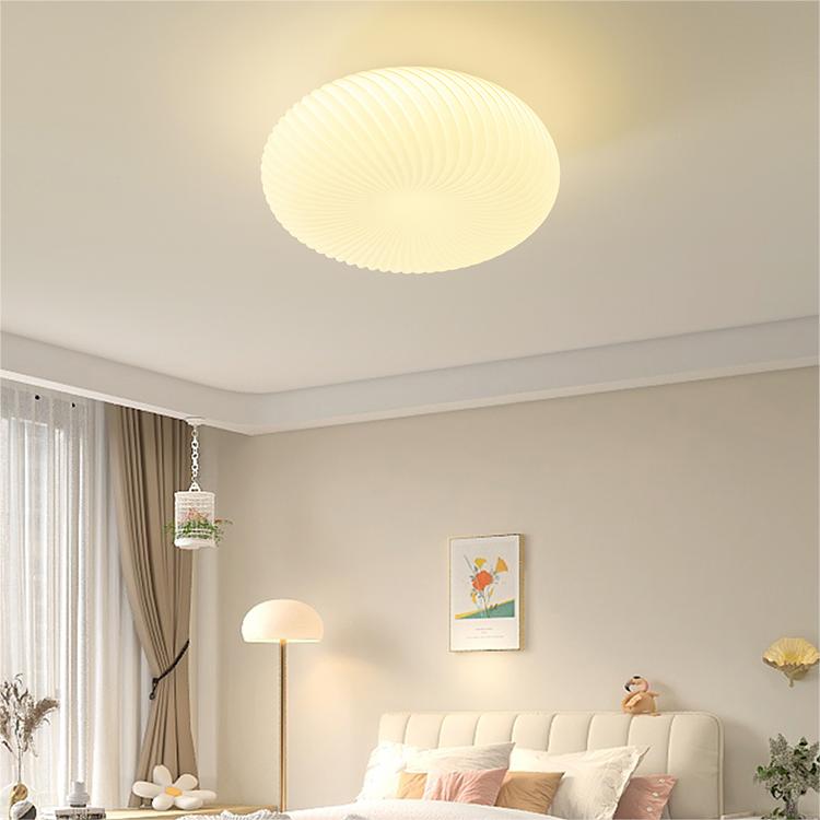 Modern Simple Water Ripple Ceiling Light