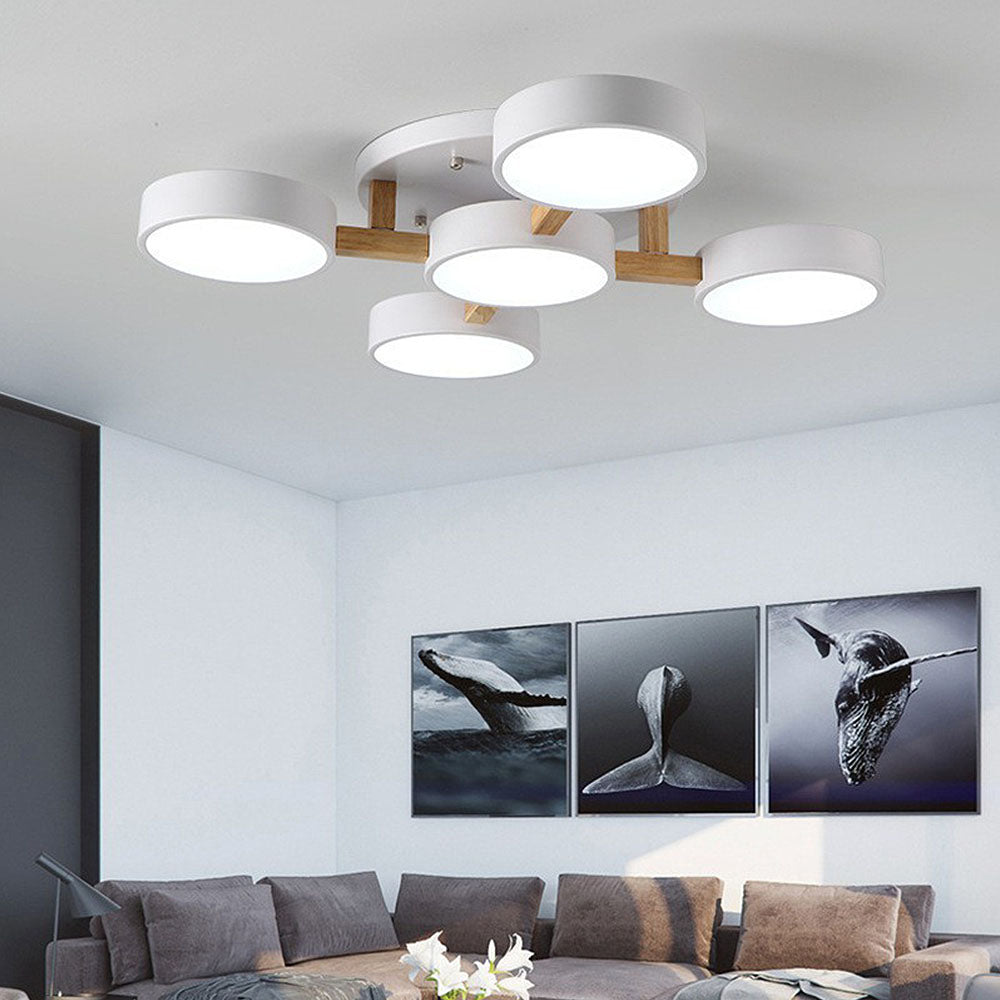 Contemporary Acrylic Bedroom Ceiling Light