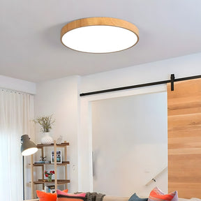 Modern Contemporary LED Lumianaire Wood Ceiling Light for Hallway Living Room
