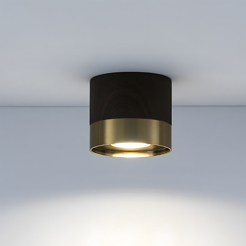 Small Led ceiling light for Hallway, D10cm