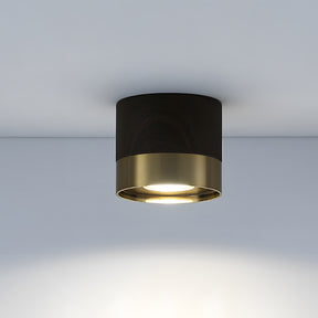 Small Led ceiling light for Hallway, D10cm