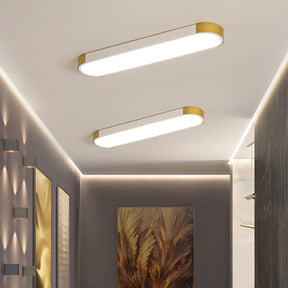 Modern Chic Iron Living Room Flush LED Ceiling Light