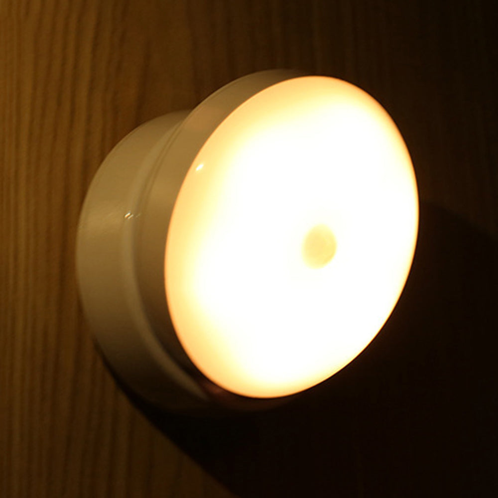 Contemporary Motion Sensor Light