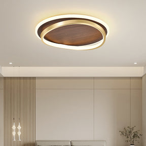 Modern Dimmable Acrylic LED Ceiling Lights