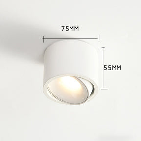 Minimalist Aluminum LED Ceiling Downlights For Hallway