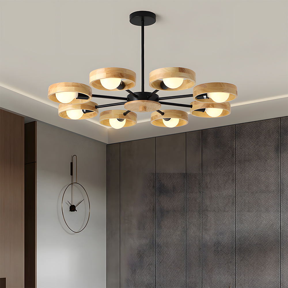 Modern Eco-friendly Ceiling Lamp For Living Room