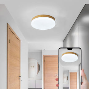 Modern Motion Sensor Smart LED Ceiling Lights For Living Room