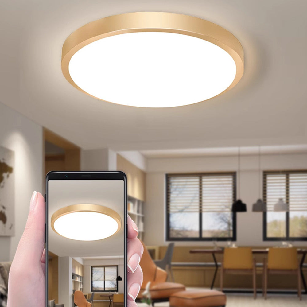 Gold Minimalist Aluminum Round LED Ceiling Lights For Living Room