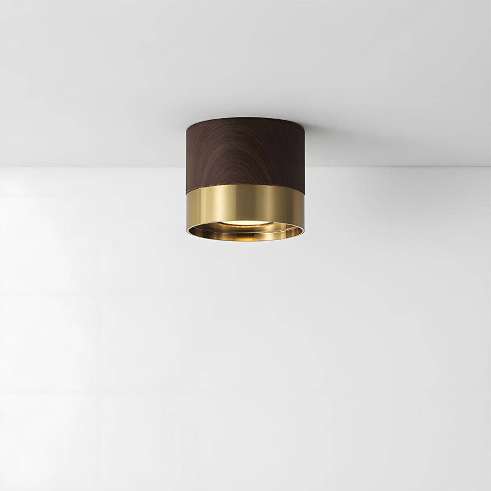 Small Led ceiling light for Hallway, D10cm