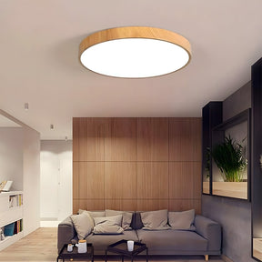 Modern Contemporary LED Lumianaire Wood Ceiling Light for Hallway Living Room