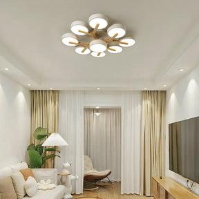 Contemporary Luxurious Acrylic Living Room LED Ceiling Lights