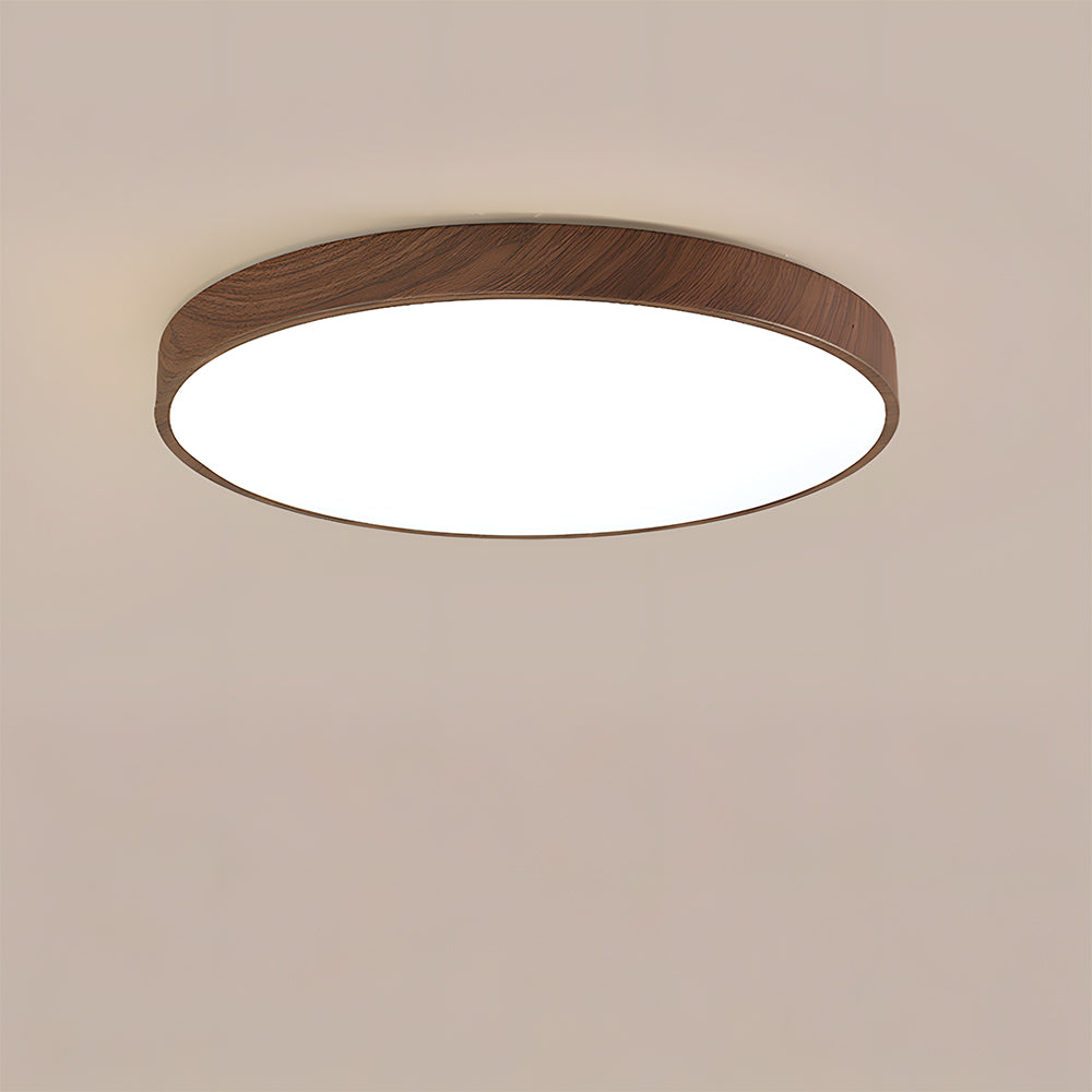 Modern Ceiling Lamp Living Room Led Lighting