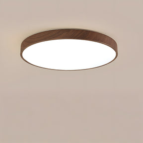 Modern Ceiling Lamp Living Room Led Lighting