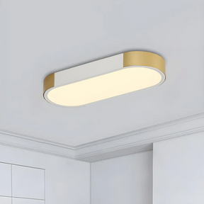 Modern Chic Iron Living Room Flush LED Ceiling Light