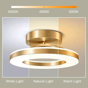 Gold Iron Hallway LED Ceiling Light