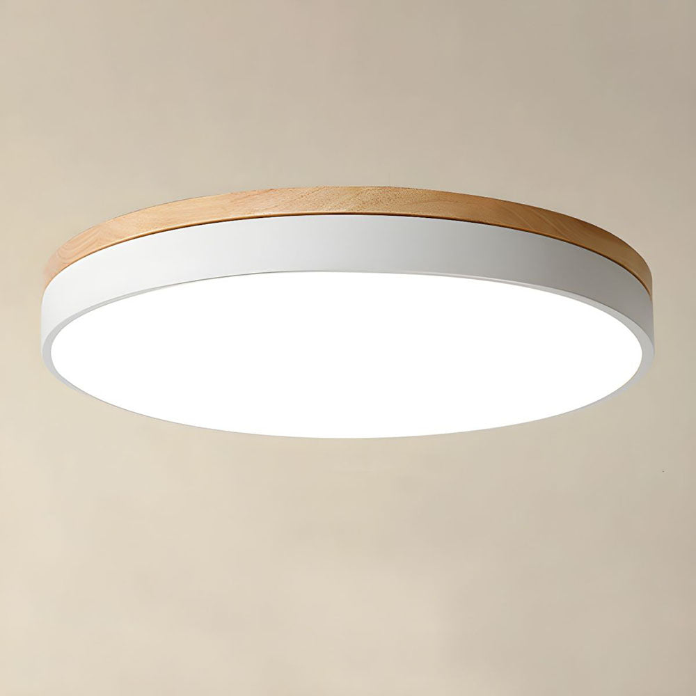 Living Room LED Ceiling Lights