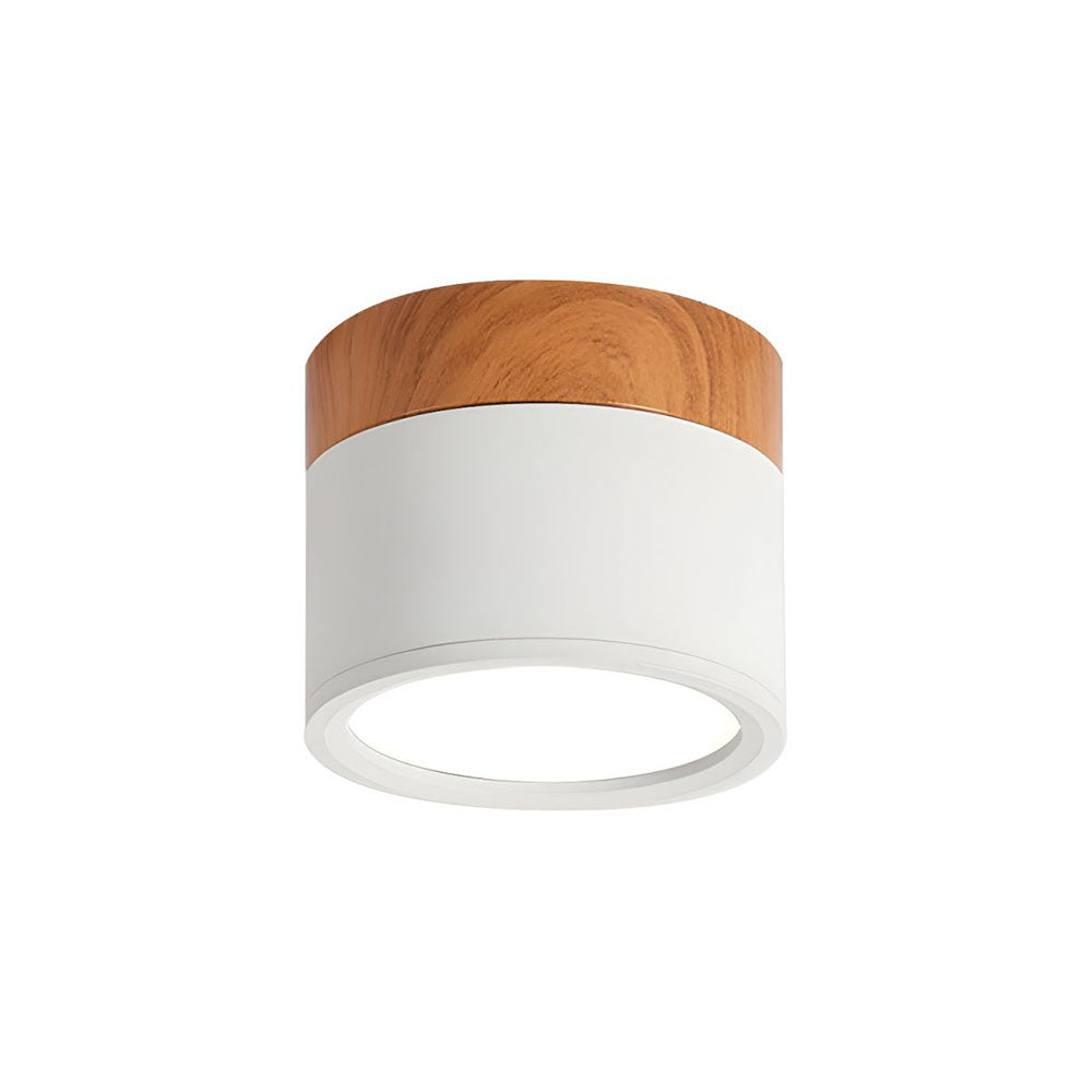 Cylinder Small Flush Ceiling Lights