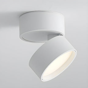 Modern Mini Surface Mounted Adjustable Ceiling Lamp