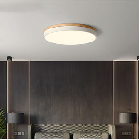 Living Room LED Ceiling Lights