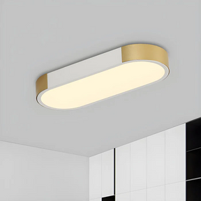 Modern Chic Iron Living Room Flush LED Ceiling Light