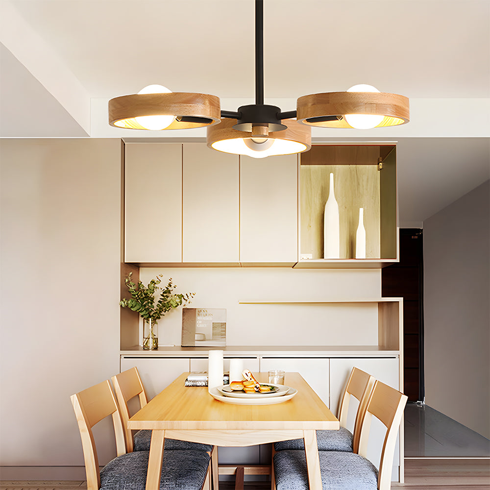 Modern Eco-friendly Ceiling Lamp For Living Room