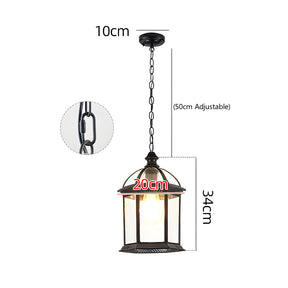 IP65 Vintage Outdoor Ceiling Lights in Black