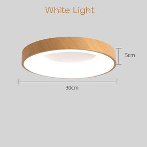 Simple Acrylic Bedroom LED Ceiling Lights