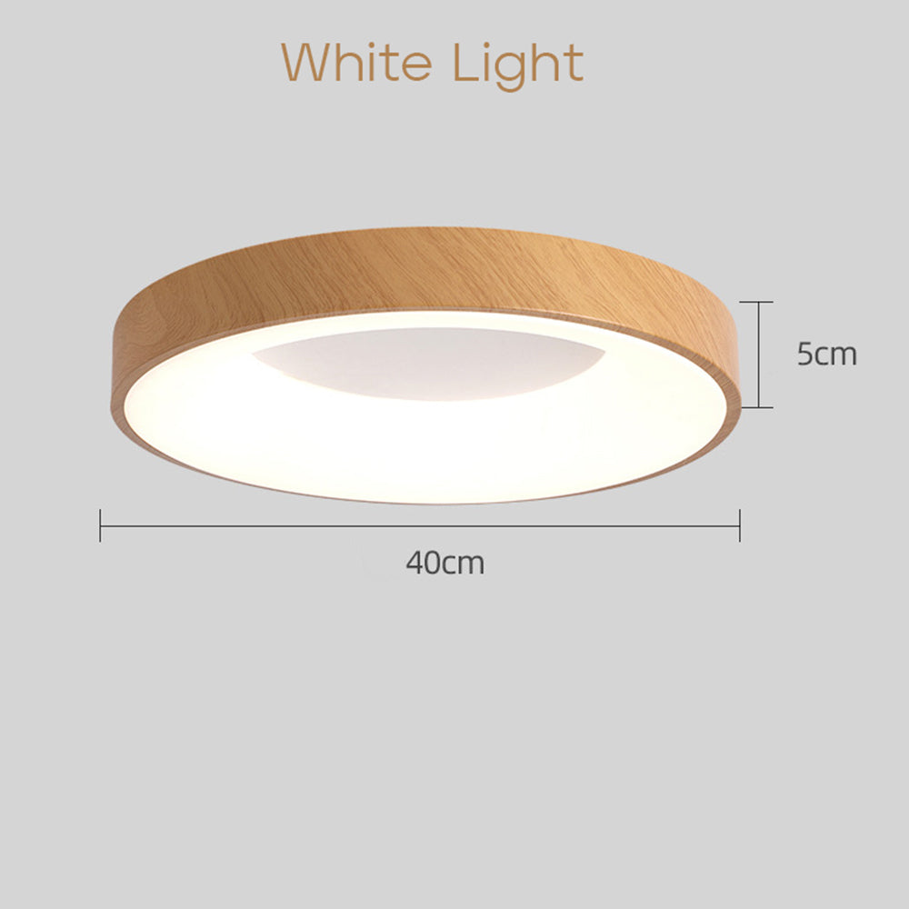 Simple Acrylic Bedroom LED Ceiling Lights