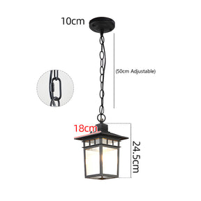 IP65 Vintage Outdoor Ceiling Lights in Black
