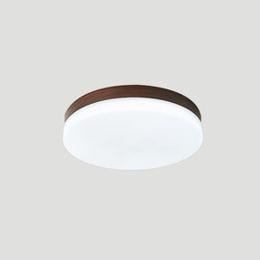 Modern Motion Sensor Smart LED Ceiling Lights For Living Room