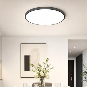 Orion Round Flush Mount Ceiling Light