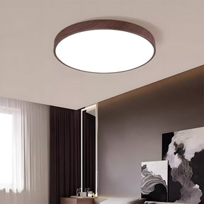 Modern Ceiling Lamp Living Room Led Lighting