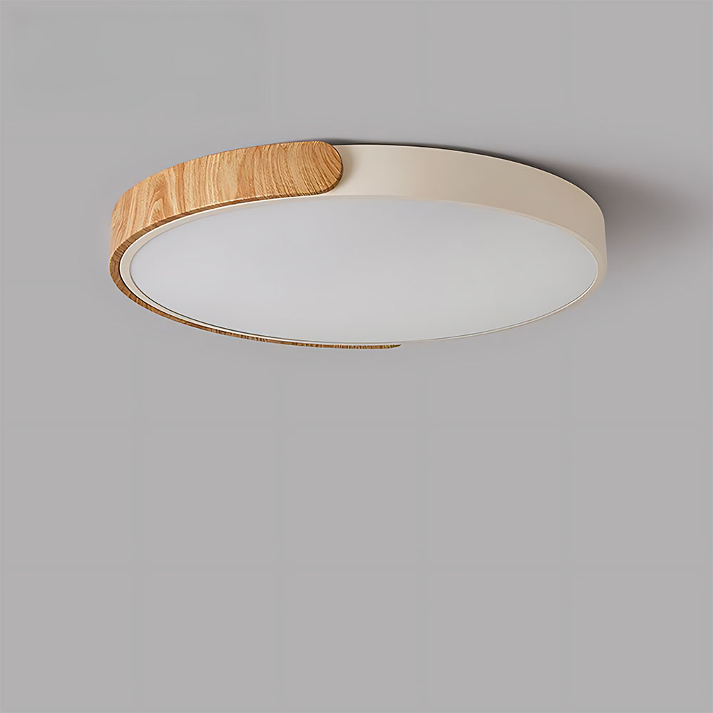 Flush Mount LED Ceiling Light For Living Room Bedroom, Circular Shape