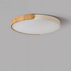 Flush Mount LED Ceiling Light For Living Room Bedroom, Circular Shape