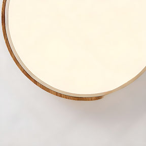 Flush Mount LED Ceiling Light For Living Room Bedroom, Circular Shape